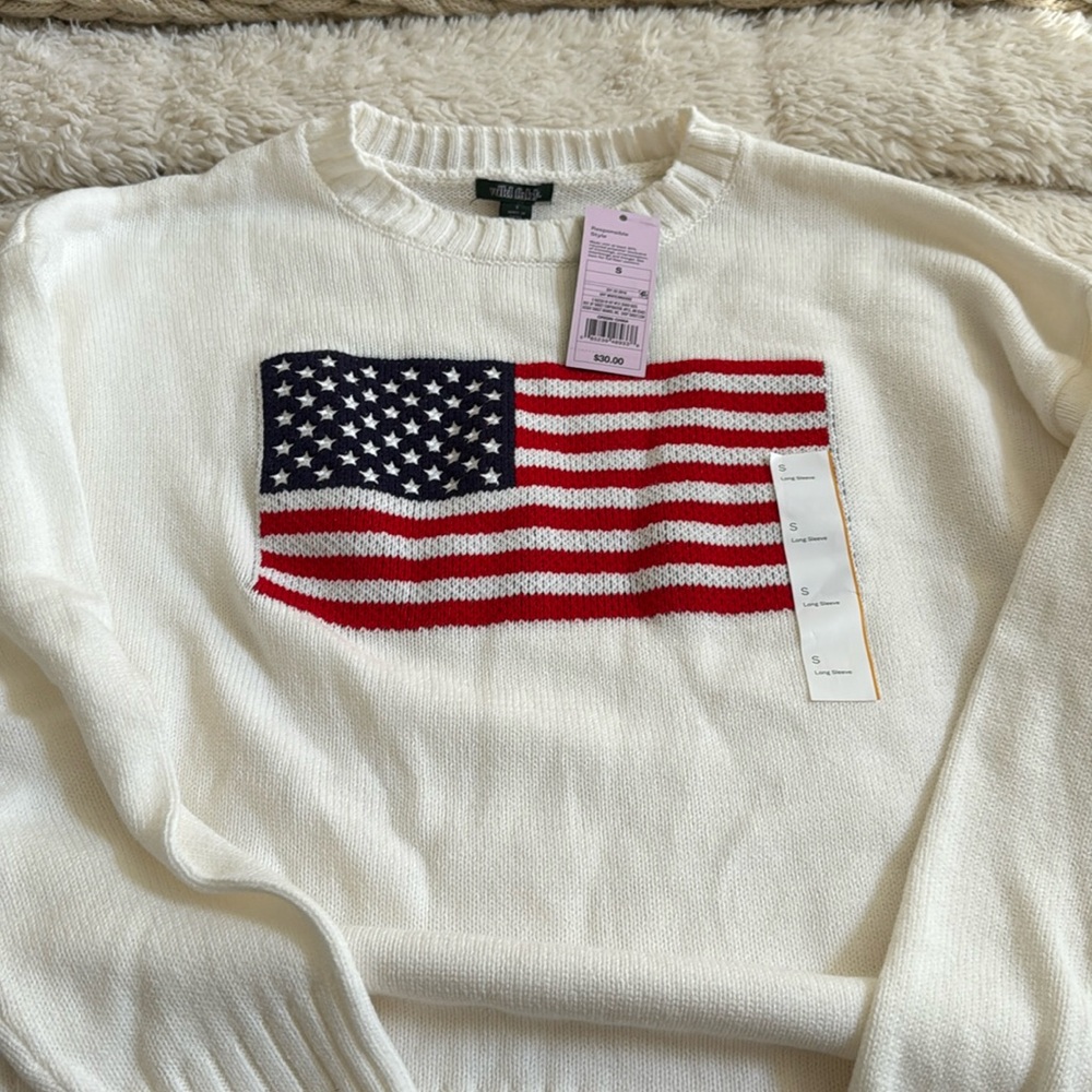 Wild Fable from target flag sweater